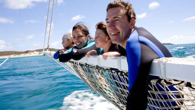 Swim with seals and dolphins in their natural environment on an exciting half day marine adventure!